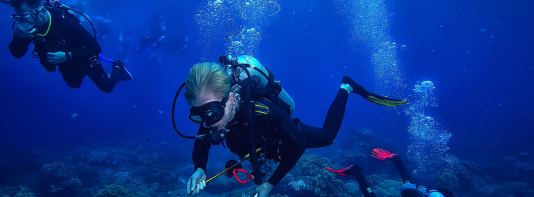 Scuba Diving Price in Murdeshwara – What You Should Know Before Booking